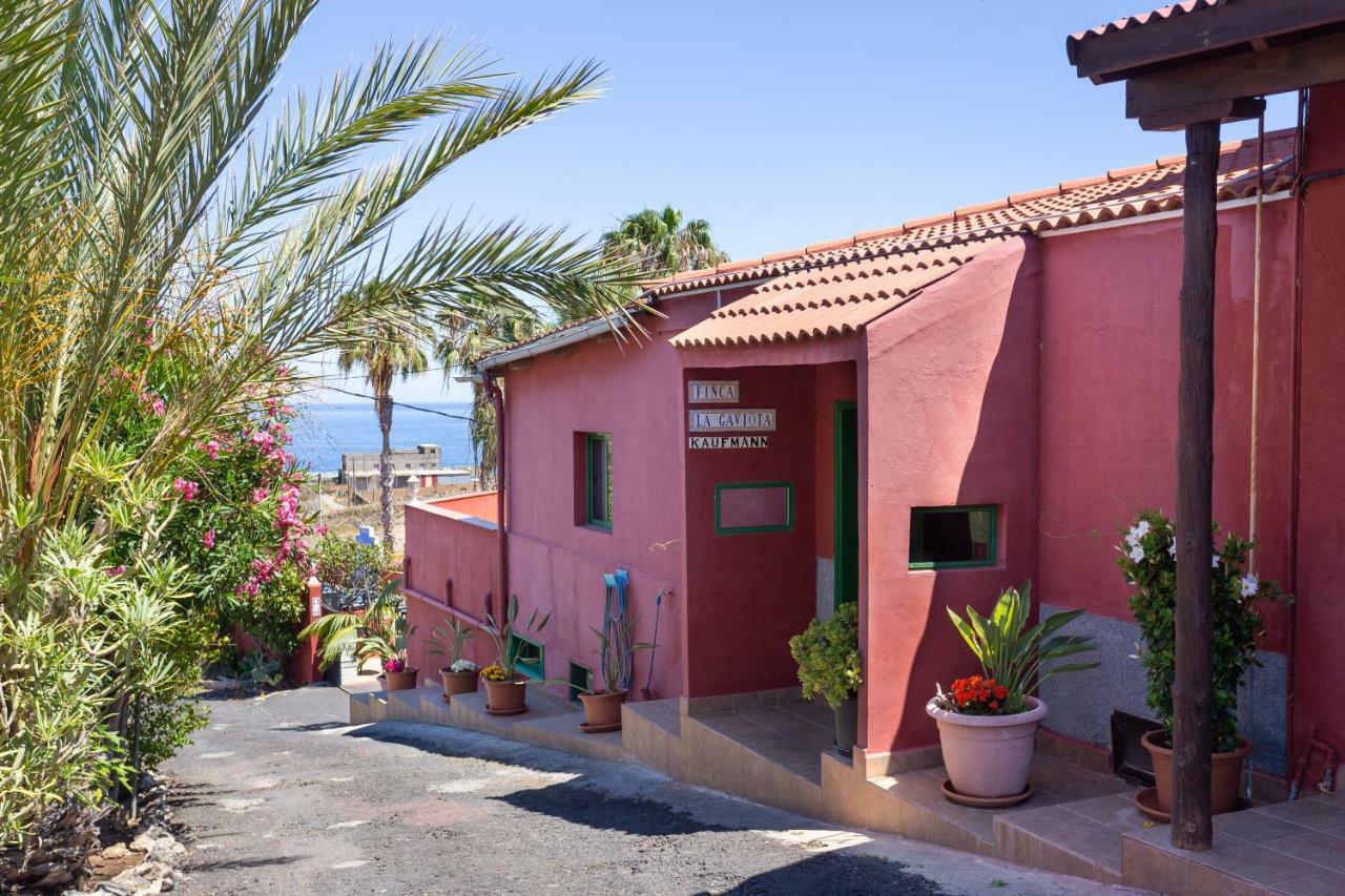 Finca La Gaviota - El Granito Икод де лос Винос Екстериор снимка